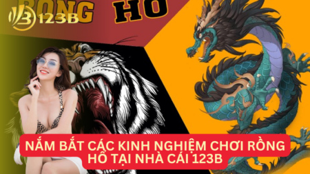 Nắm Bắt Các Kinh Nghiệm Chơi Rồng Hổ Tại Nhà Cái 123B